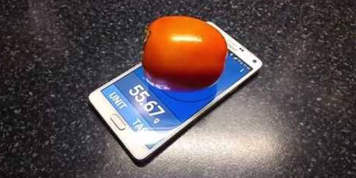 IQ Digital scale simulator