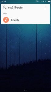 تحميل Fast Finder