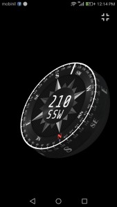 الاتجاه الشمسي