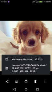 تطبيق بديل للاستوديو