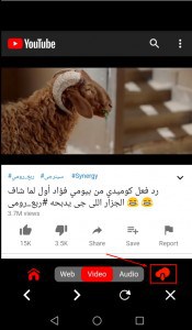 تنزيل أي محتوى عبر الإنترنت مباشراً دون اتصال بالإنترنت