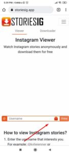 موقع مشاهدة ستوري الانستقرام بدون علم